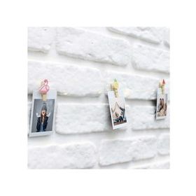 Petrix 25 Led Işık Meyveli Fotoğraf Mandalı