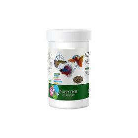 Pets Familiy 100 ml Guppy Fish Granulat Lepistes Balığı Yemi