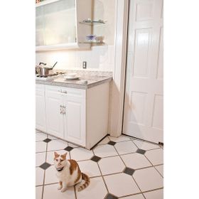 Petsafe Pawz Away Mini Eğitim Cihazı