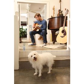 Petsafe Ssscat Otomatik Kedi ve Köpek Uzaklaştırıcı Sprey