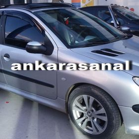 Peugeot 206 HB 1998-2012 Arası 4 Lü Mügen Cam Rüzgarlığı
