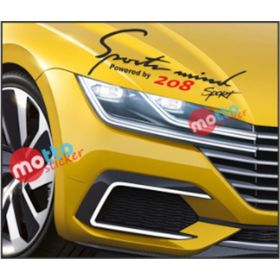 Peugeot 208 Sports Mind Far Üstü Oto Sticker