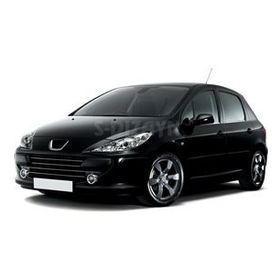 Peugeot 307 2001-2008 4 Parça Krom Cam Çıtası