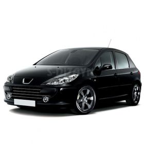 Peugeot 307 2001-2008 Krom Cam Çıtası