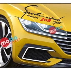 Peugeot 308 Sports Mind Far Üstü Oto Sticker