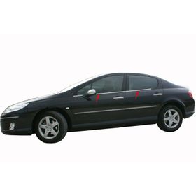 Peugeot 407 4 Parça Krom Cam Çıtası