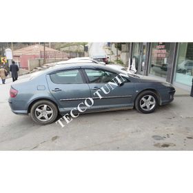 Peugeot 408 Mügen Cam Rüzgarlığı