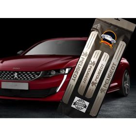 Peugeot 4'lü Kapı Eşik Nikelajı