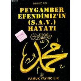PEYGAMBER EFENDIMIZIN HAYATI - MEHMET DOĞRU;ŞERIF BENEKÇI