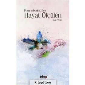 Peygamberimizden Hayat Ölçüleri - Halil Pınar