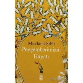 PEYGAMBERIMIZIN HAYATI - MEVLÂNÂ ŞIBLÎ NÛMÂNÎ