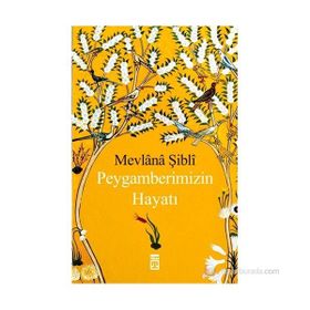 PEYGAMBERIMIZIN HAYATI - MEVLÂNÂ ŞIBLÎ NÛMÂNÎ