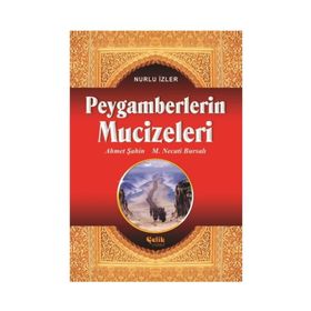 PEYGAMBERLERIN MUCIZELERI - AHMET ŞAHİN