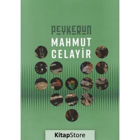 Peykerun - Retrospektif - Mahmut Celayir