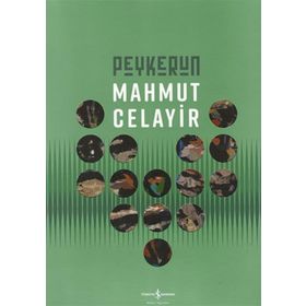 Peykerun - Retrospektif - Mahmut Celayir