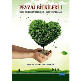 PEYZAJ BITKILERI AÇIK TOHUMLU BITKILER GYMNOSPERMAE - MURAT ZENCIRKIRAN