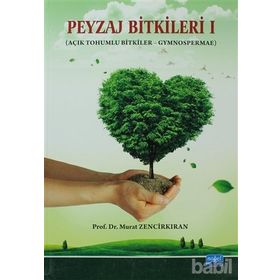 PEYZAJ BITKILERI AÇIK TOHUMLU BITKILER GYMNOSPERMAE - MURAT ZENCIRKIRAN