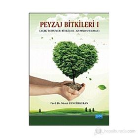 PEYZAJ BITKILERI AÇIK TOHUMLU BITKILER GYMNOSPERMAE - MURAT ZENCIRKIRAN