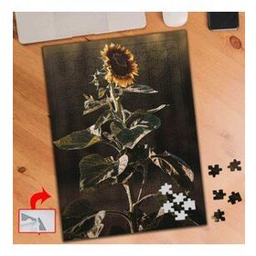 PF293 Ayçiçek Bitki Güneş 240 Parça Puzzle Yapboz Tablo