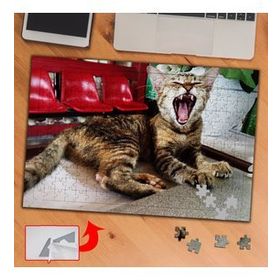 PF298 Esneyen Kedi Kafe Hayvan 240 Parça Puzzle Yapboz Tablo