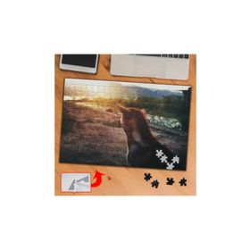 PF373 Güneş Köpek Arazi 240 Parça Puzzle Yapboz Tablo