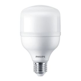 Philips 24 W E27 6500K Trueforce Core Led Ampul