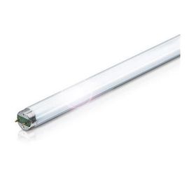 Philips 36W Günışığı Floresan Ampul