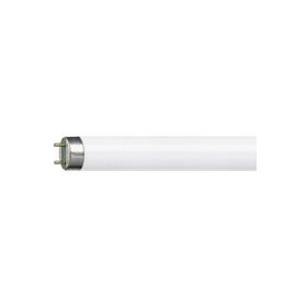 Philips 36W Günışığı Floresan Ampul