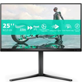 Philips Evnia 25M2N3200U 24.5 inç 310Hz 0.5ms IPS Oyuncu Monitörü
