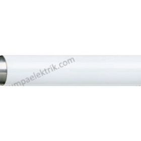 Philips Master TL5 54-830 HO T5 Floresan Ampul