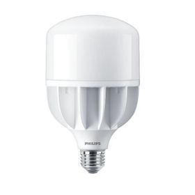 Philips TrueForce 24W E27 6500K Beyaz Işık Ampul