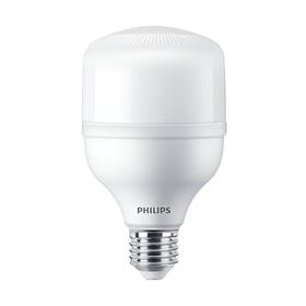 Philips TrueForce 24W E27 6500K Beyaz Işık Ampul