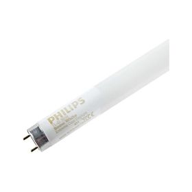 Philips White 12000 120 cm Tl-D 36w T8 Floresan
