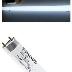 Philips White 12000 120 cm Tl-D 36w T8 Floresan