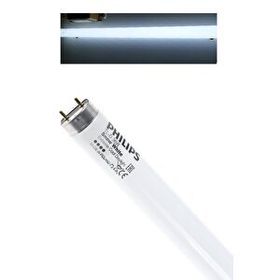 Philips White 12000 120 cm Tl-D 36w T8 Floresan