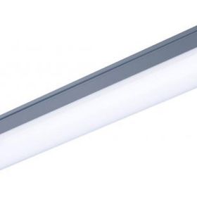 Philips WT066C 40W Led Etanj Armatür