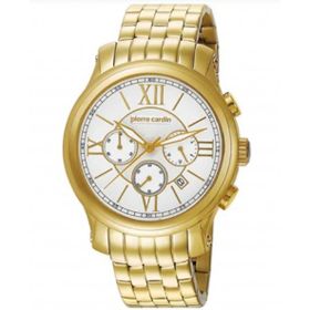 Pierre Cardin 105151F01 Erkek Kol Saati