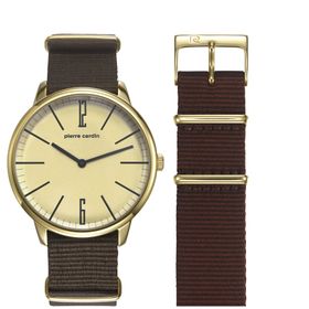 Pierre Cardin 106991F14 Erkek Kol Saati