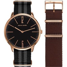 Pierre Cardin 106991F16 Erkek Kol Saati