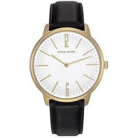 Pierre Cardin 106991F26 Erkek Kol Saati