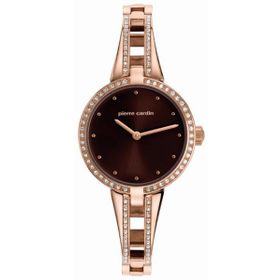 Pierre Cardin 107452S04 Bayan Kol Saati