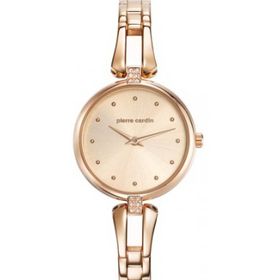 Pierre Cardin 107582F04 Bayan Kol Saati