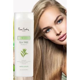 Pierre Cardin Aura Botanica Çay Ağacı Özlü 360 ml Şampuan