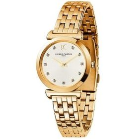 Pierre Cardin CF.0807.SE.G Kadın Kol Saati