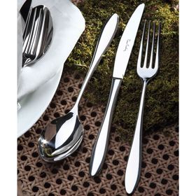 Pierre Cardin Jasmine Titanium 89 Parça Çatal Kaşık Bıçak Seti