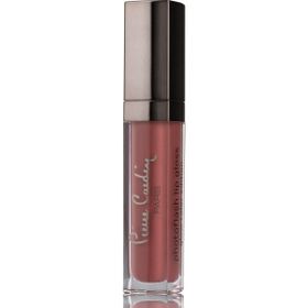 Pierre Cardin Misty Rose Photoflash Lipgloss Parlak Likit Ruj
