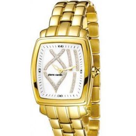 Pierre Cardin PC102072F04 Kadın Kol saati