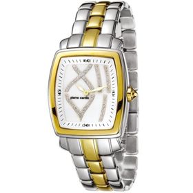 Pierre Cardin PC102072F05 Kadın Kol saati