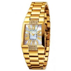 Pierre Cardin PC102352F05 Kadın Kol Saati