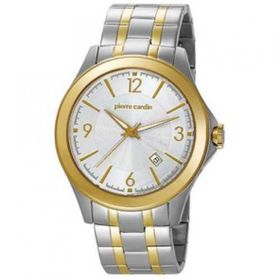 Pierre Cardin PC104871F04 Erkek Kol Saati